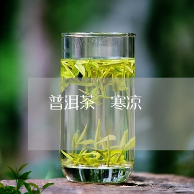 普洱茶 寒凉/2023042834237